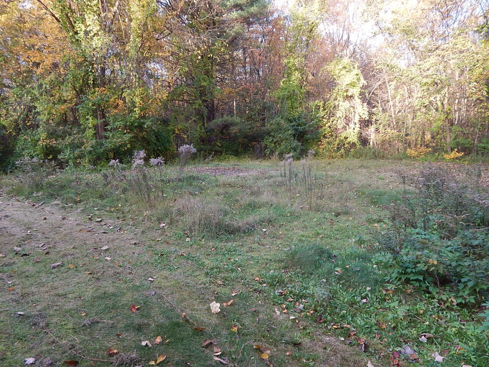 4 Tallant Road Pelham, NH 03076 - Photo 8 of 31
