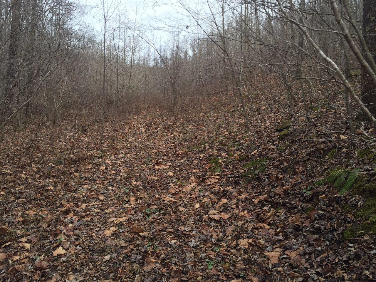 999999 Harrison Road McKee, KY 40447 - Photo 8 of 8 Photo 8
