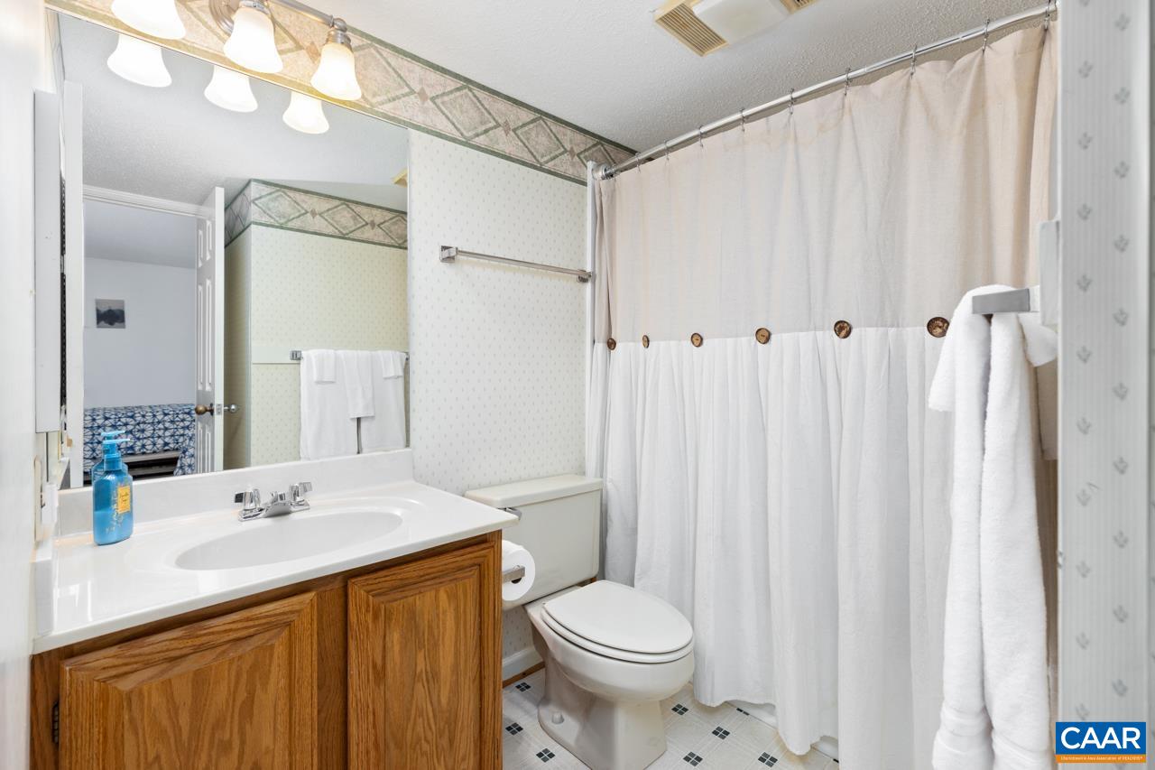 2029 Stone Ridge Wintergreen, VA 22967 - Photo 25 of 30 a bathroom with a sink a toilet and shower