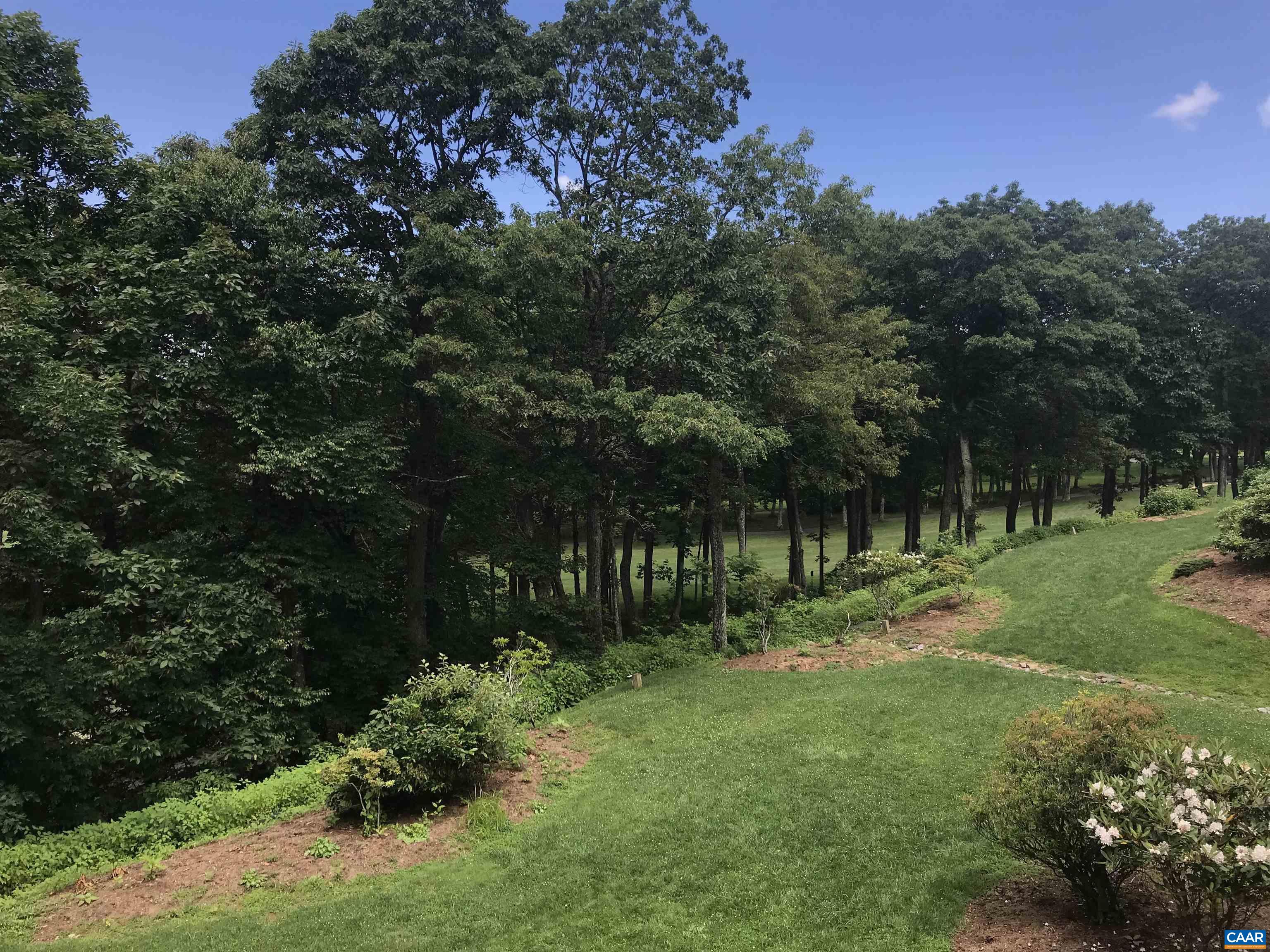 2029 Stone Ridge Wintergreen, VA 22967 - Photo 27 of 30 a view of backyard with green space