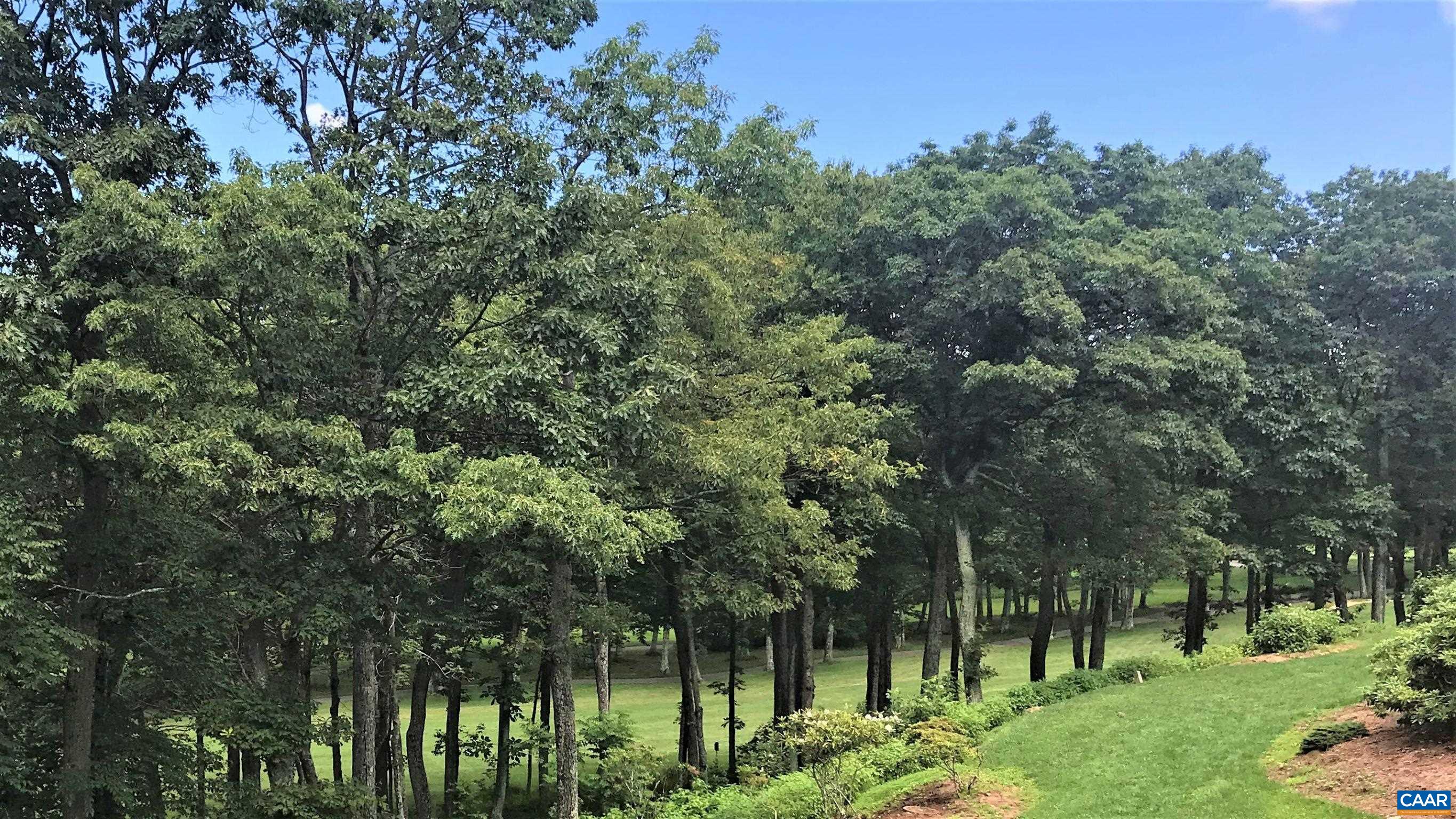 2029 Stone Ridge Wintergreen, VA 22967 - Photo 28 of 30 a view of backyard with green space