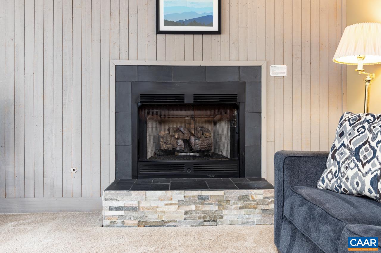 2029 Stone Ridge Wintergreen, VA 22967 - Photo 9 of 30 a living room with furniture and a fireplace
