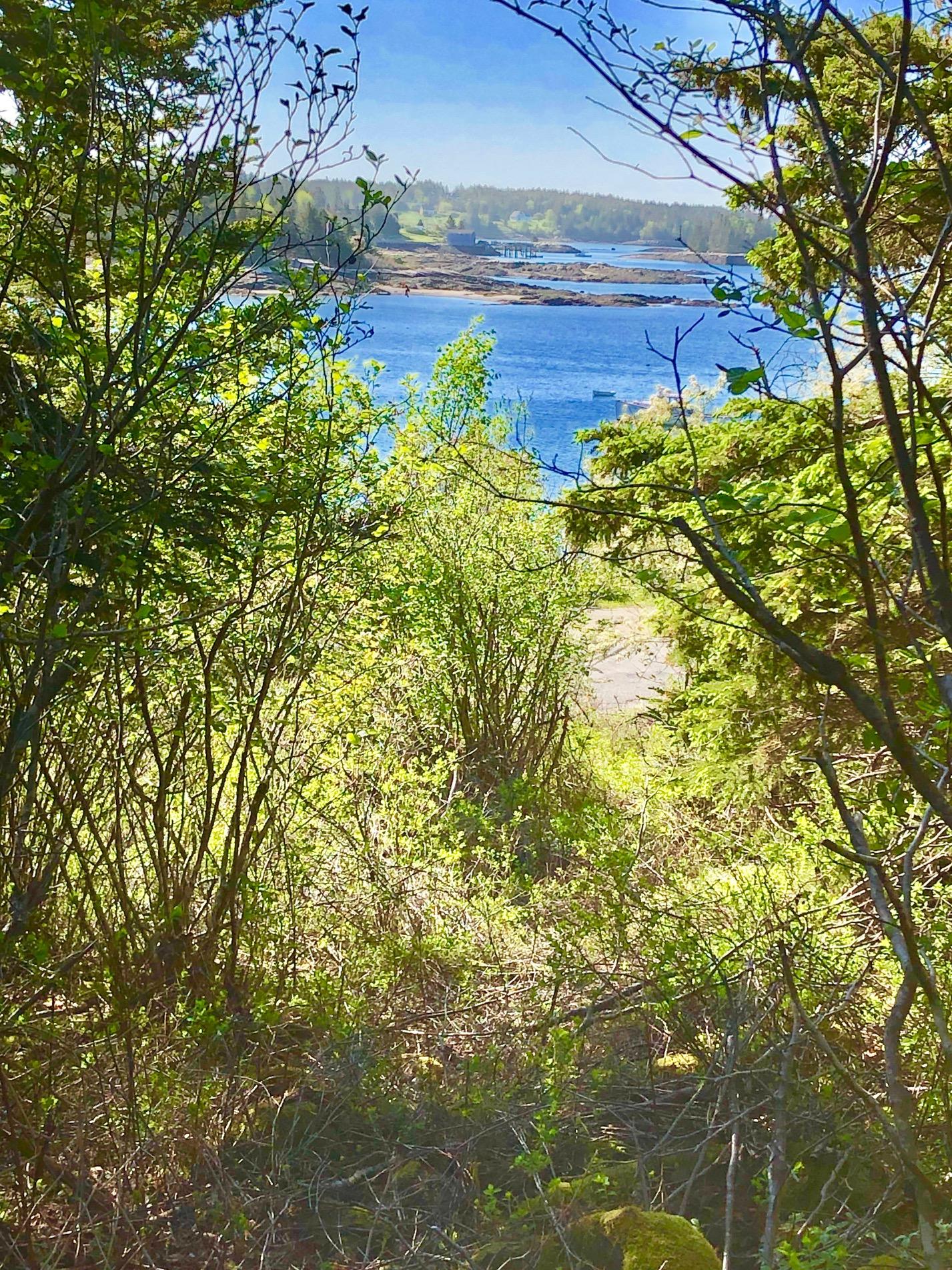 26 Tainter Road Swans Island, ME 04685 - Photo 12 of 24 Land - over one acre