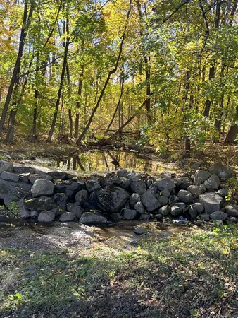 a view of water covered with trees