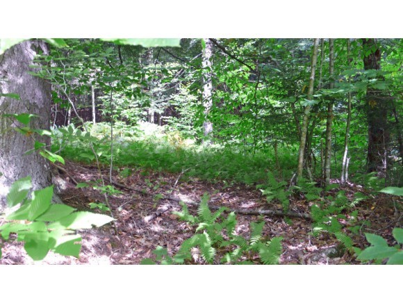 Lot #2 Dowsville Road Moretown, VT 05660 - Photo 1 of 8