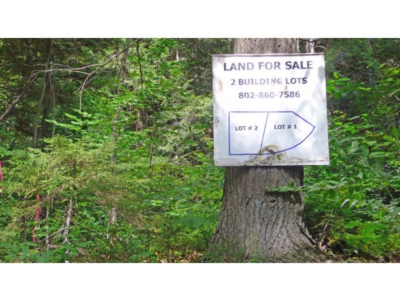 Lot #2 Dowsville Road Moretown, VT 05660 - Photo 2 of 8