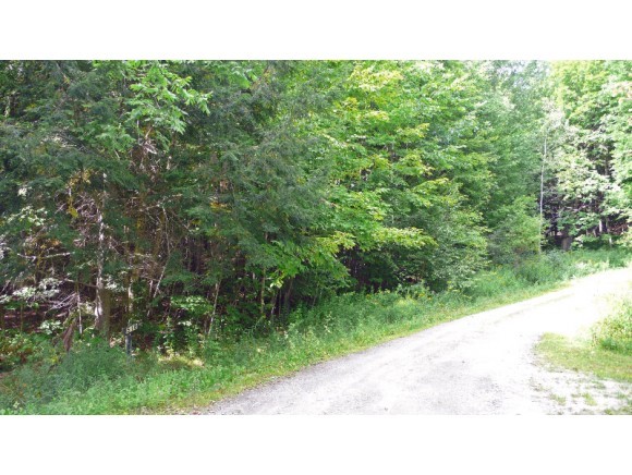 Lot #2 Dowsville Road Moretown, VT 05660 - Photo 6 of 8