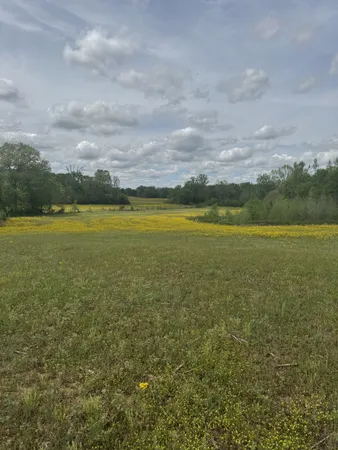 a view of an ocean and beach