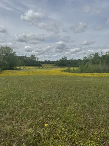 a view of an ocean and beach