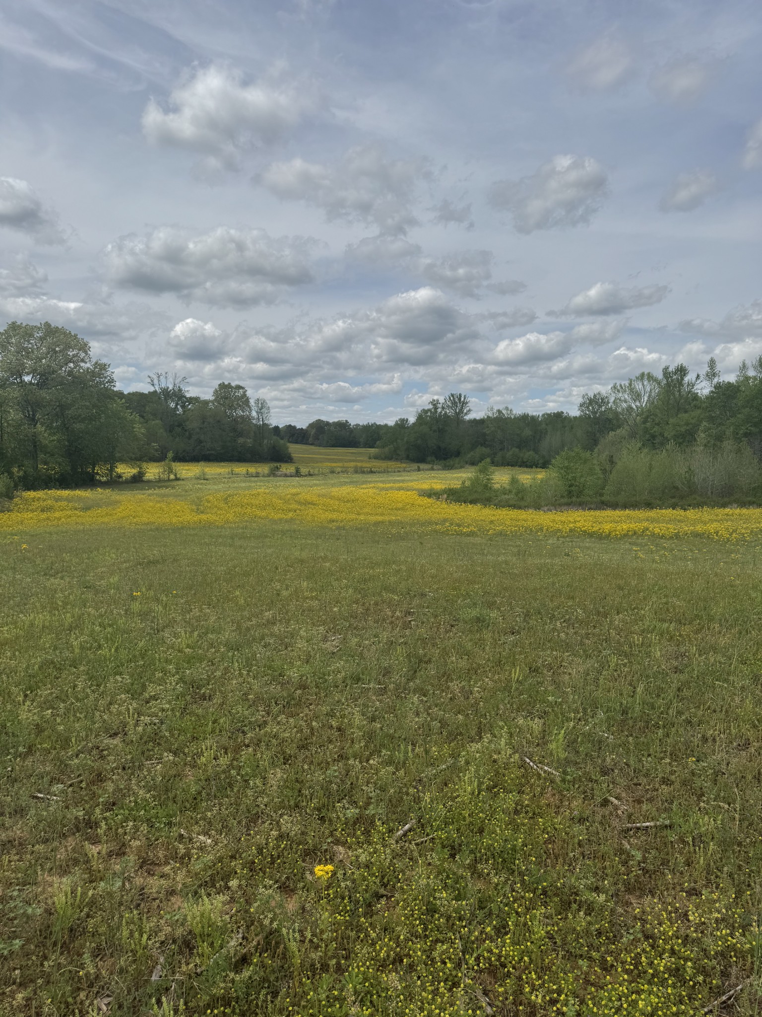 a view of an ocean and beach
