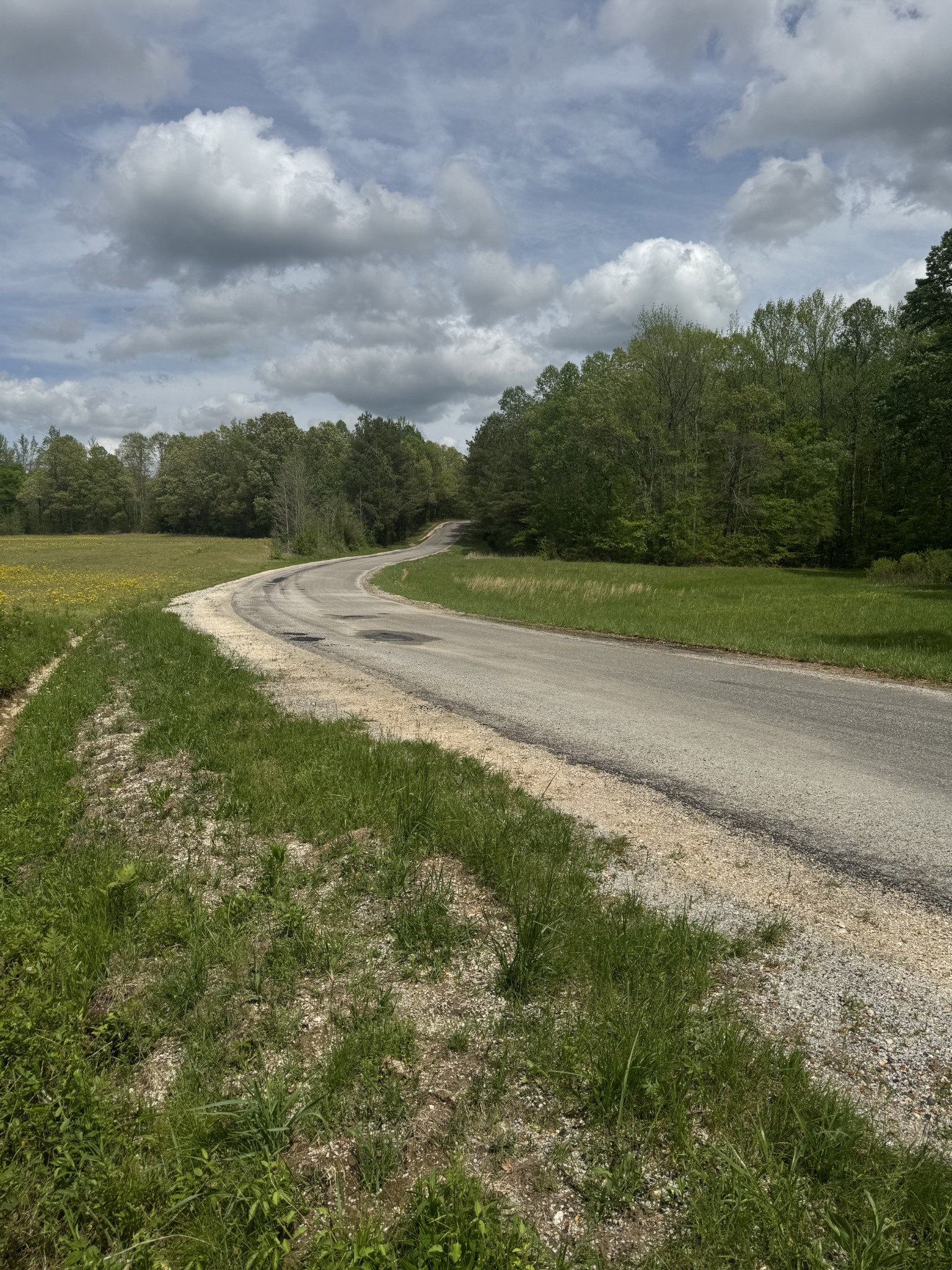 0 Taylor Cemetery Road Buena Vista, TN 38318 - Photo 15 of 21 a view of a lake with a big yard