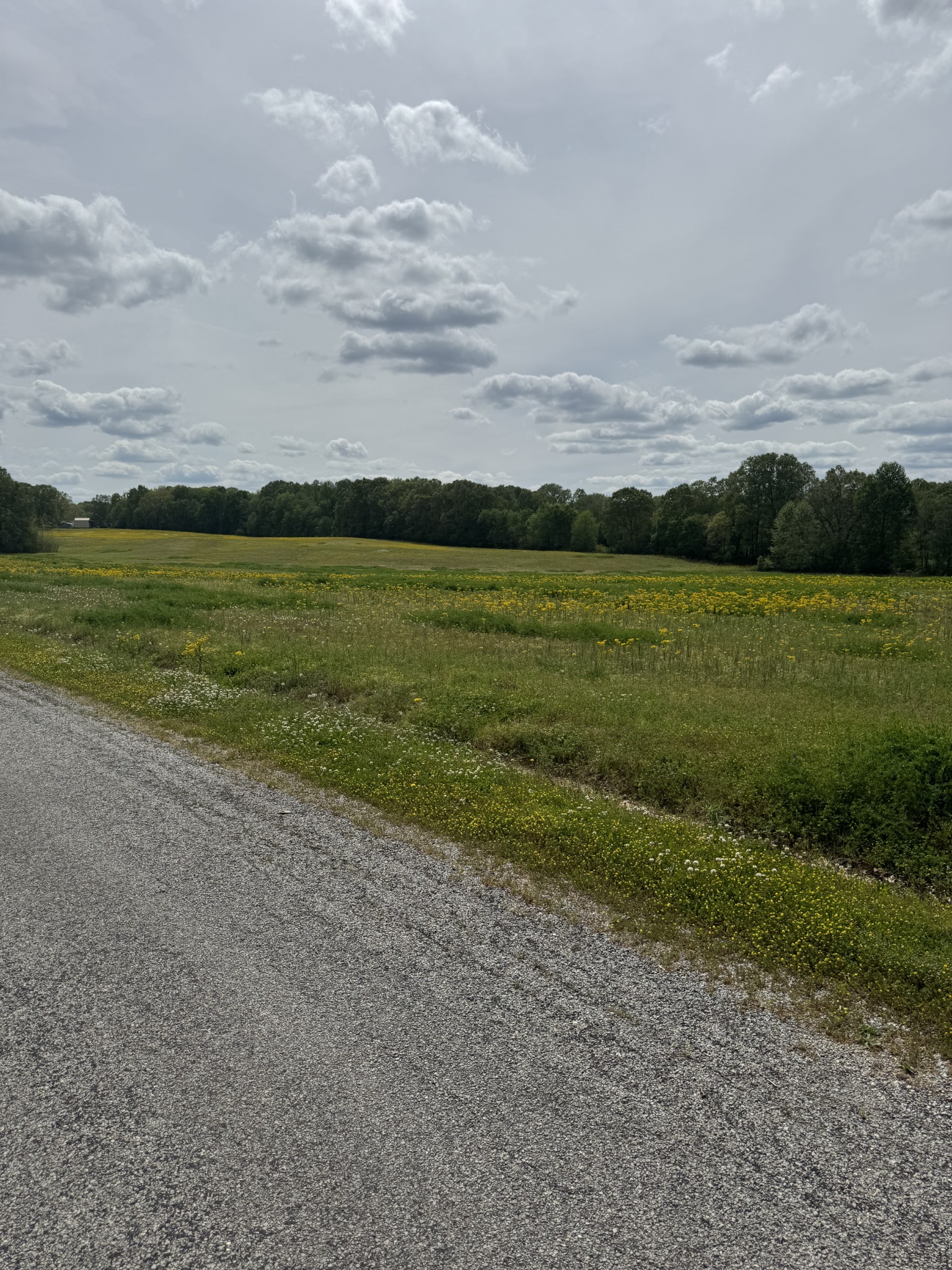 0 Taylor Cemetery Road Buena Vista, TN 38318 - Photo 17 of 21 a view of an ocean and beach