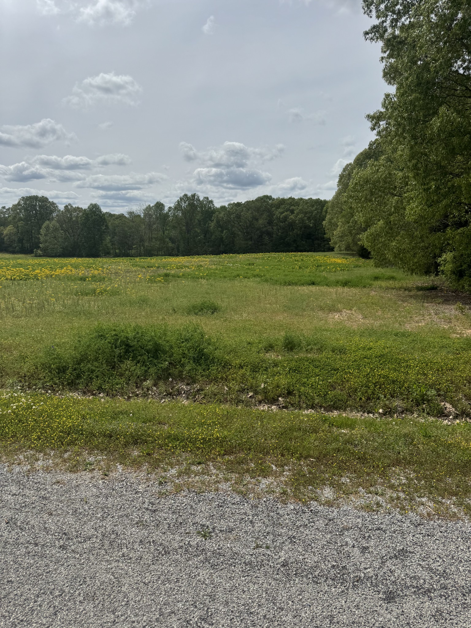 0 Taylor Cemetery Road Buena Vista, TN 38318 - Photo 18 of 21 a view of a field with an ocean