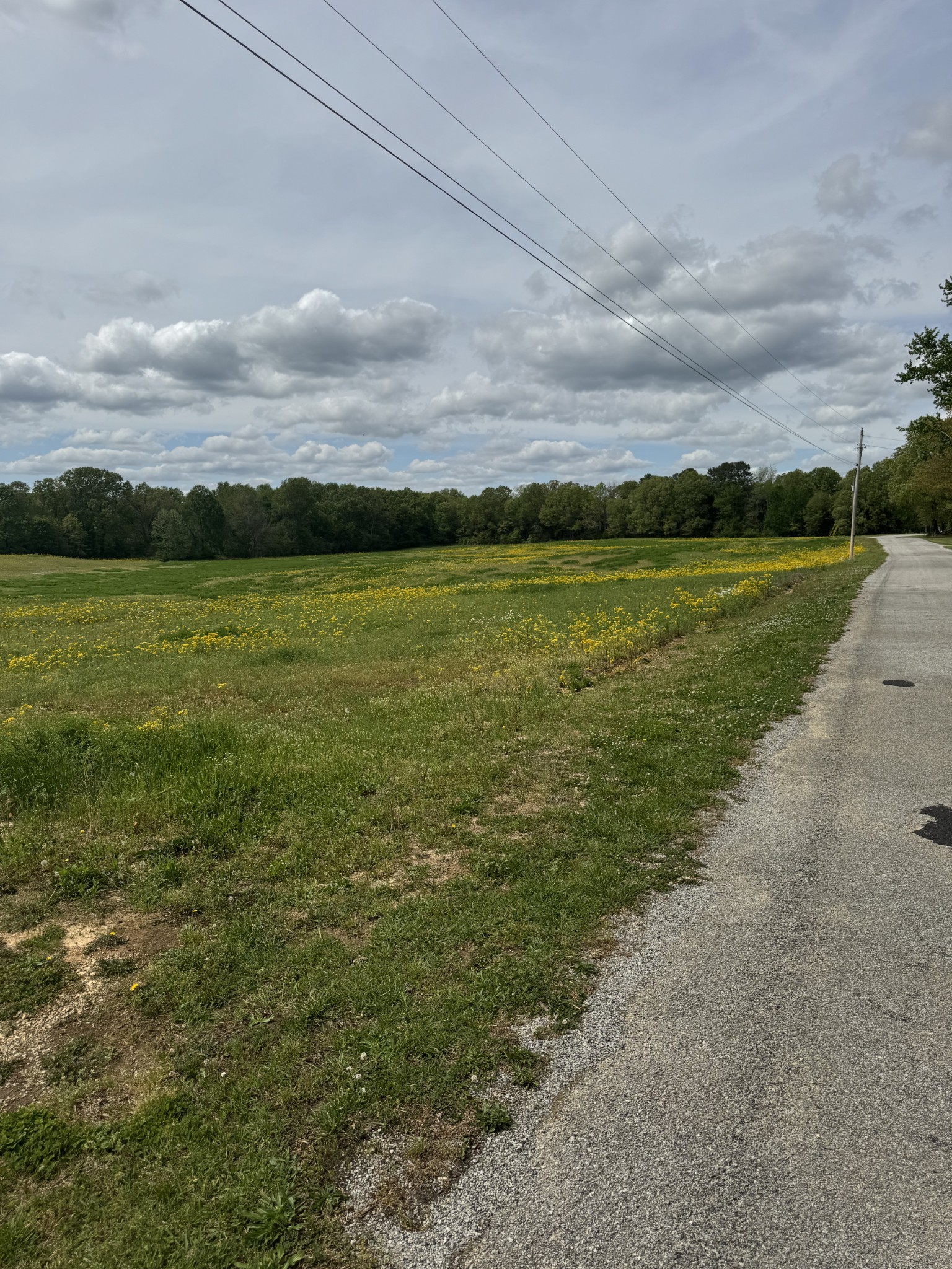 0 Taylor Cemetery Road Buena Vista, TN 38318 - Photo 20 of 21 a view of an ocean and beach