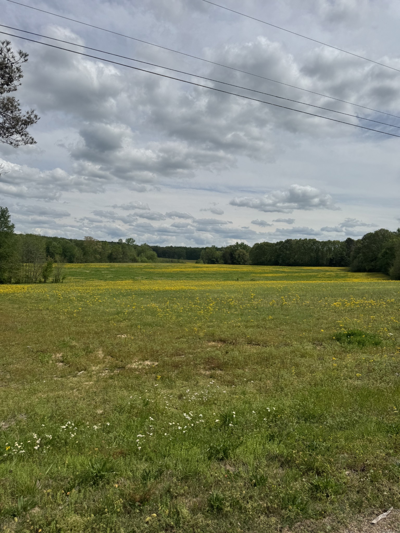 0 Taylor Cemetery Road Buena Vista, TN 38318 - Photo 3 of 21 a view of an ocean and beach