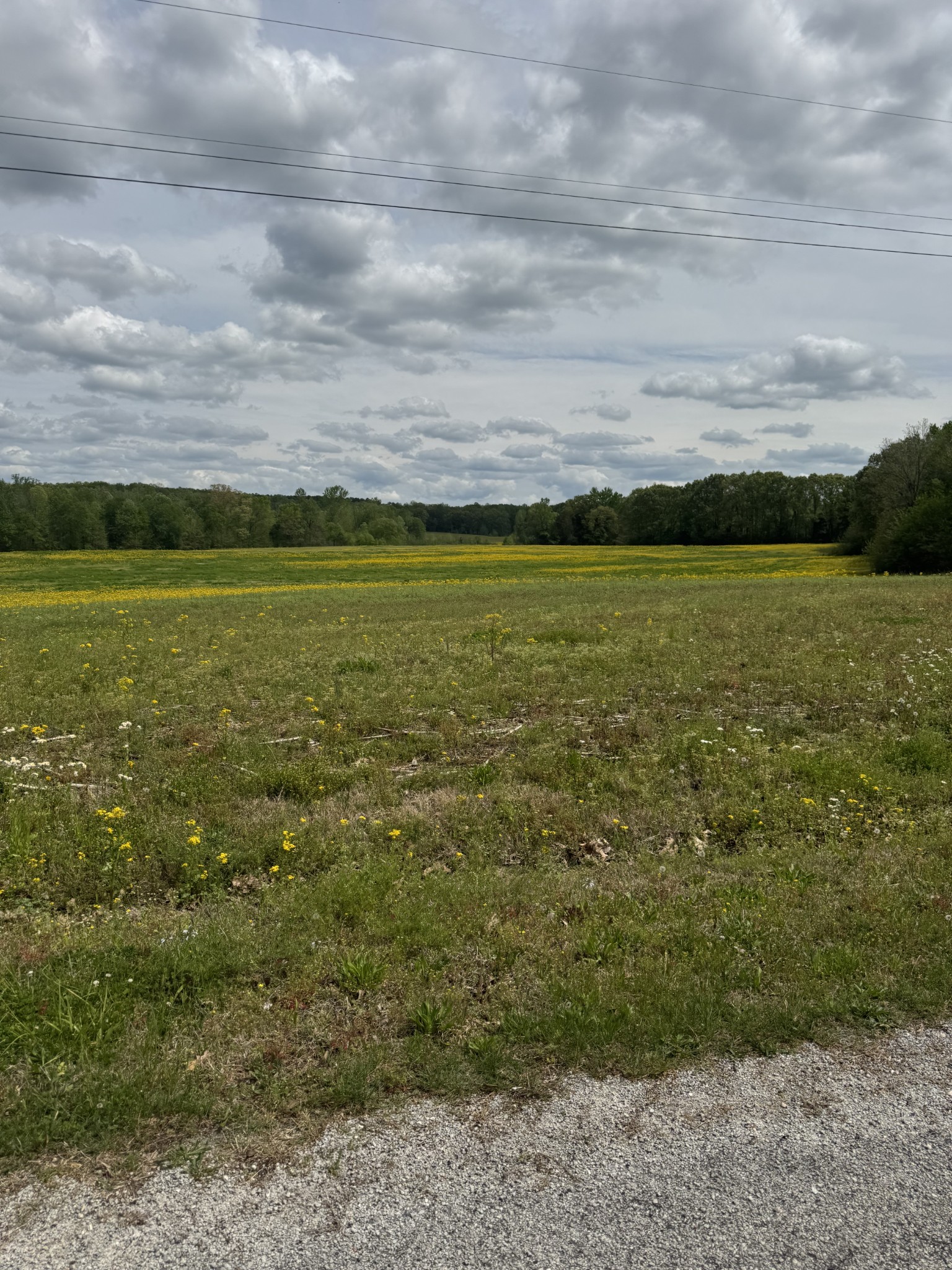 0 Taylor Cemetery Road Buena Vista, TN 38318 - Photo 4 of 21 a view of an ocean and beach