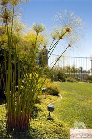 12154 Nelson Road Moorpark, CA 93021 - Photo 24 of 26 Additional Photo