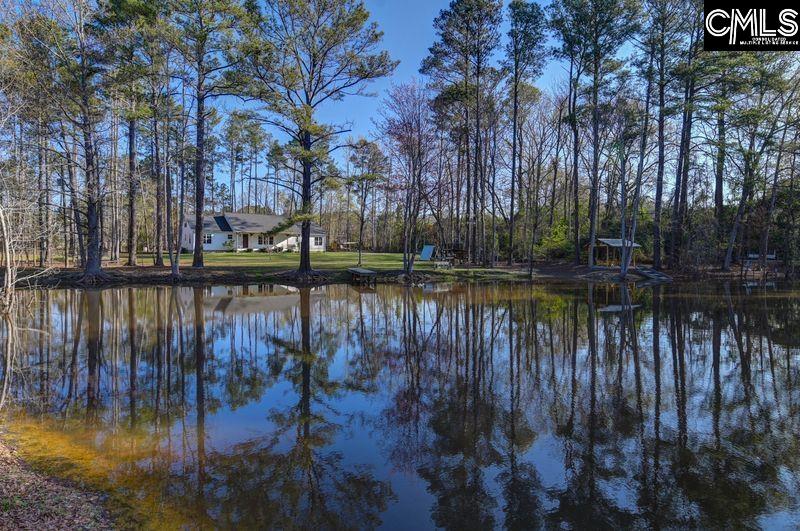 162 Baskin Hills Road Lexington, SC 29072 - Photo 14 of 58