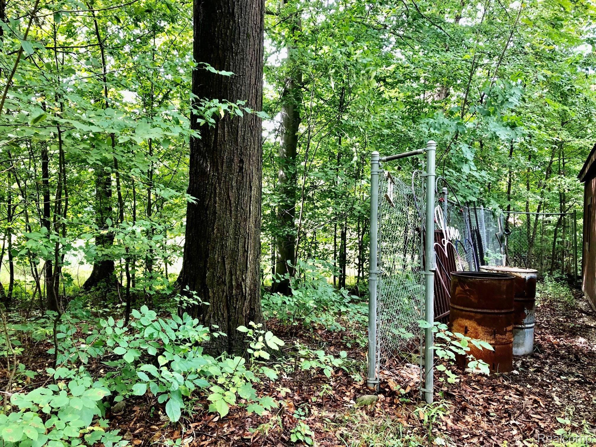 4373 Phillips Road Metamora, MI 48455 - Photo 16 of 73 IMG_1294.jpg