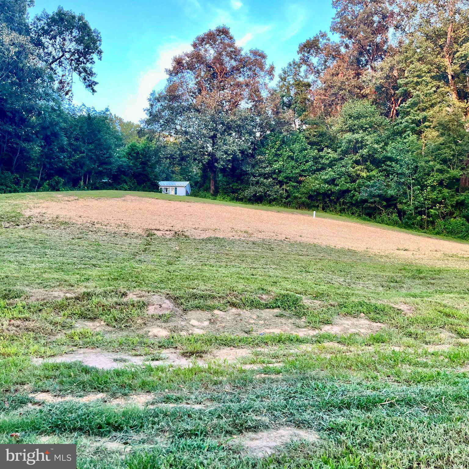 23690 Maddox Road Chaptico, MD 20621 - Photo 49 of 55 Large side yard, freshly seeded and hayed!