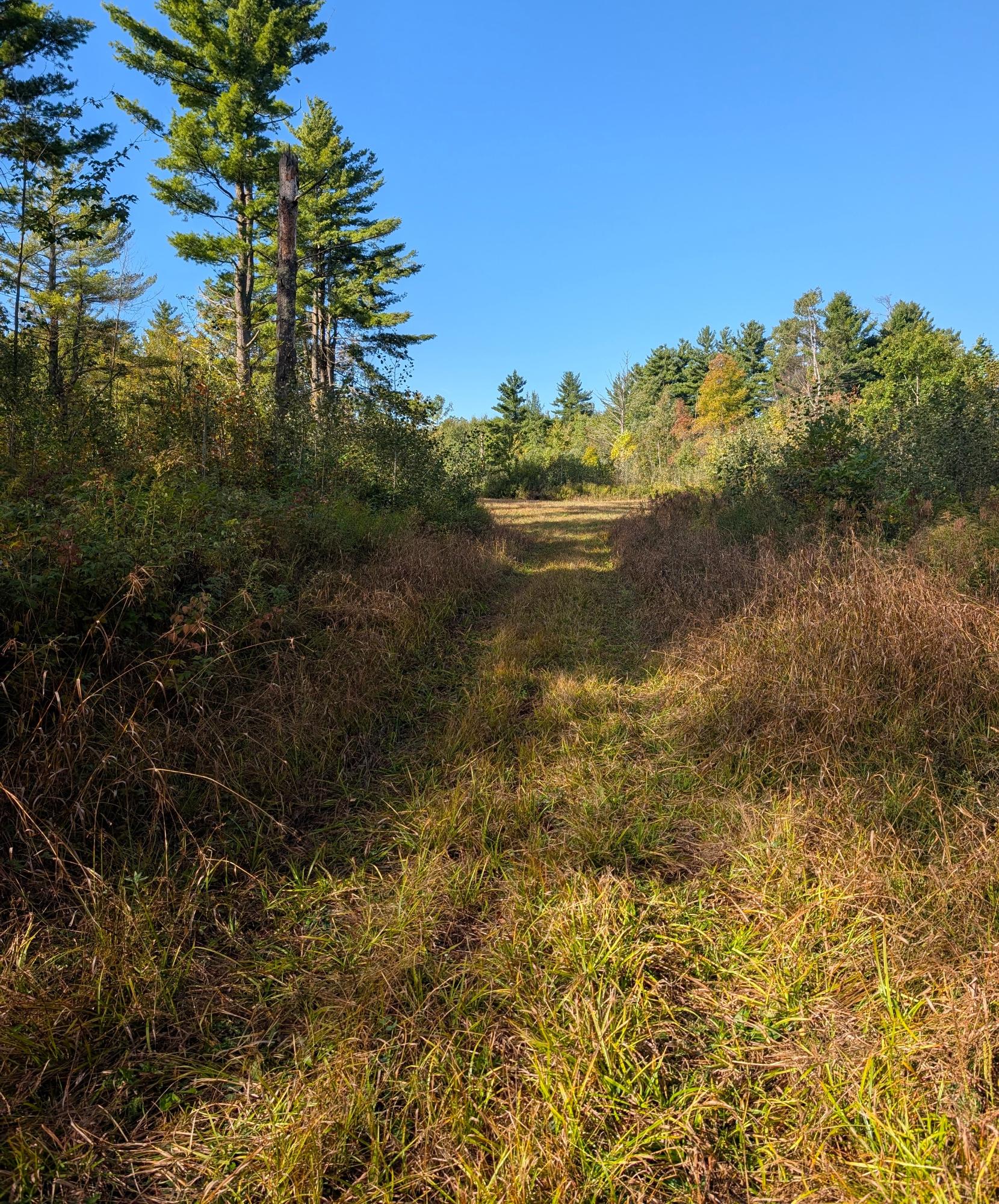 Off Birch Lake Road Exeland, WI 54835 - Photo 11 of 44 Gallery Image 11