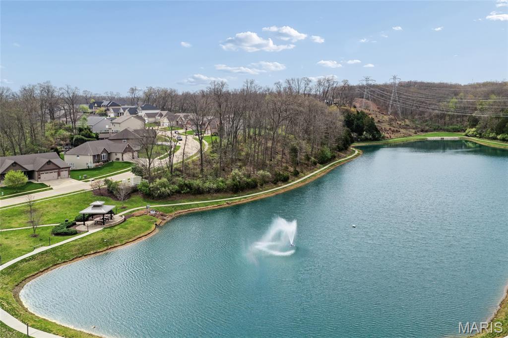 1308 Birch Meadow Drive High Ridge, MO 63049 - Photo 29 of 30