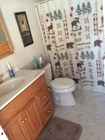 21513 Monroe Road Morley, MI 49336 - Photo 4 of 26 m5