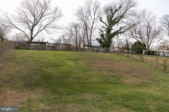 a view of a field with trees