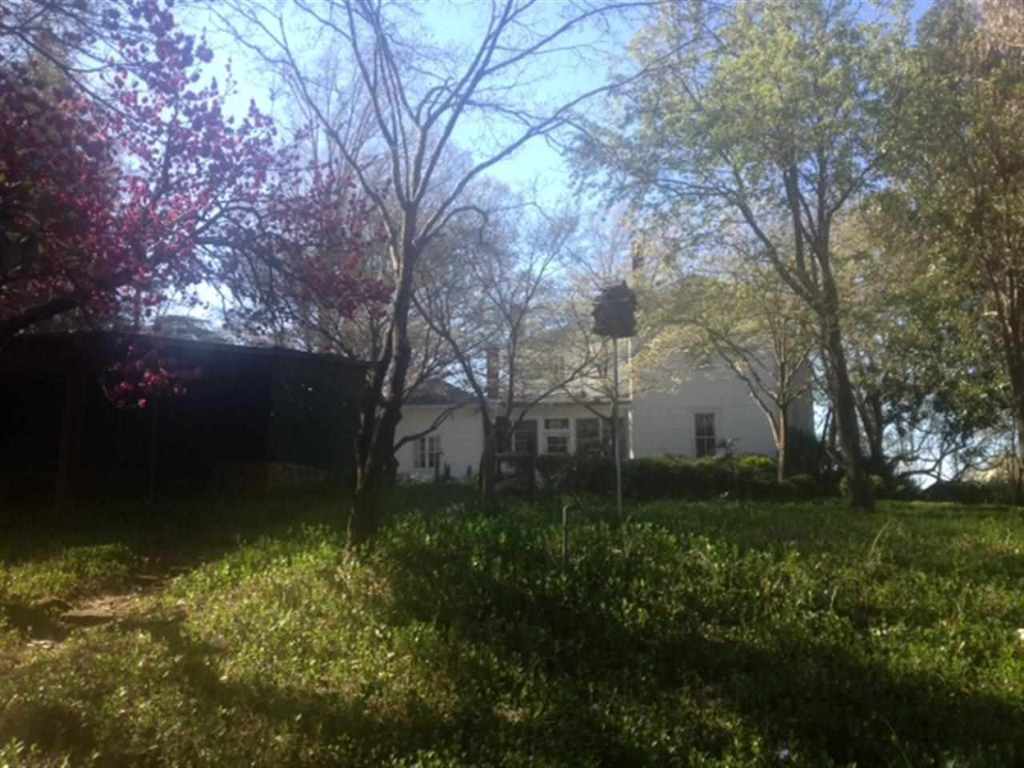 161 East Queen Street Pendleton, SC 29670 - Photo 5 of 14