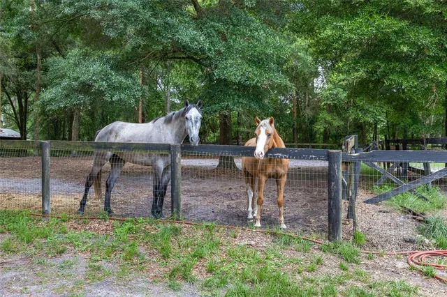 a view of a tennis ground