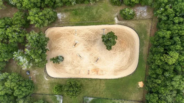 a view of a forest with a yard