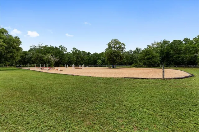 a view of a park with large trees