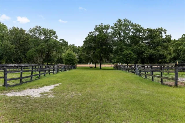 a view of a green field with trees