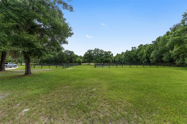 a view of a ground with trees