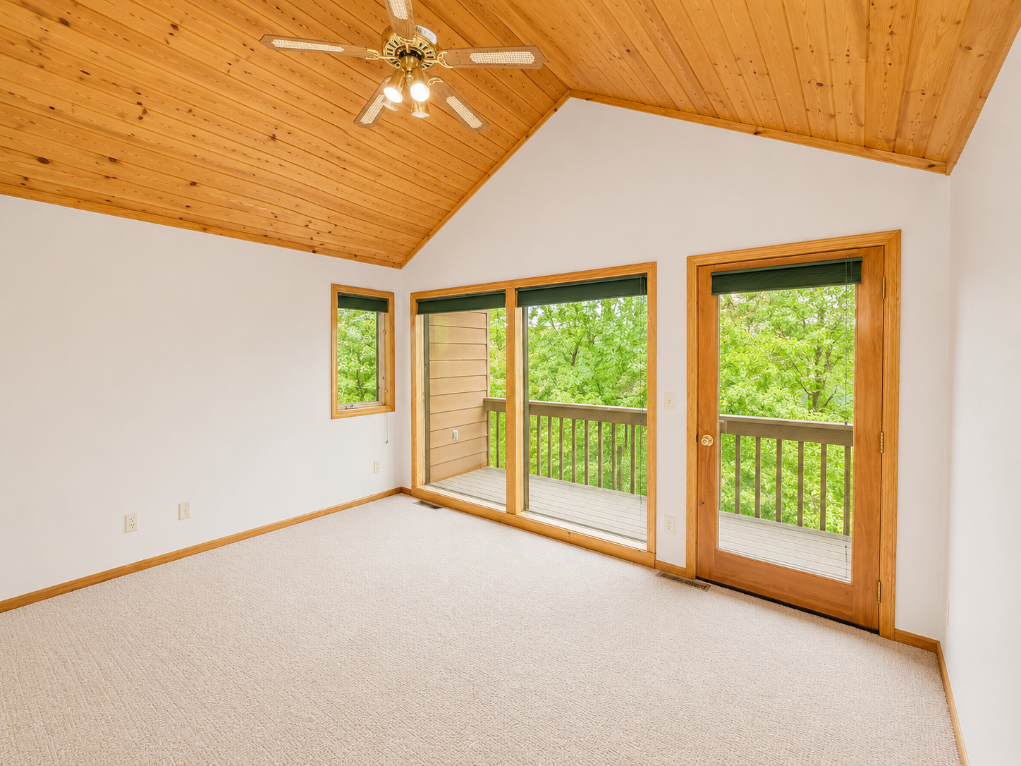 50573 Evergreen Point Road Bigfork, MN 56628 - Photo 7 of 8