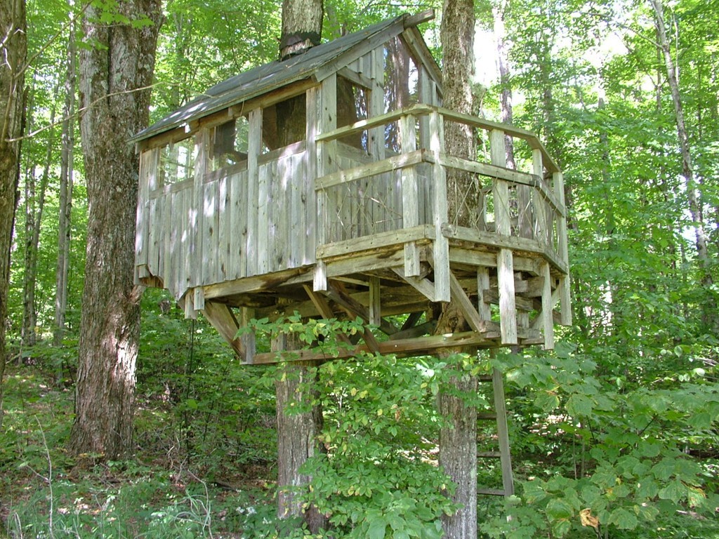 65 Potter Road Rowe, MA 01367 - Photo 28 of 30 a backyard of a building with trees