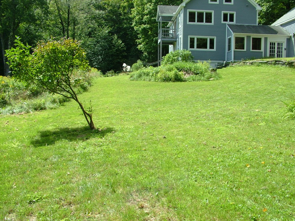 65 Potter Road Rowe, MA 01367 - Photo 6 of 30 a house view with a garden space