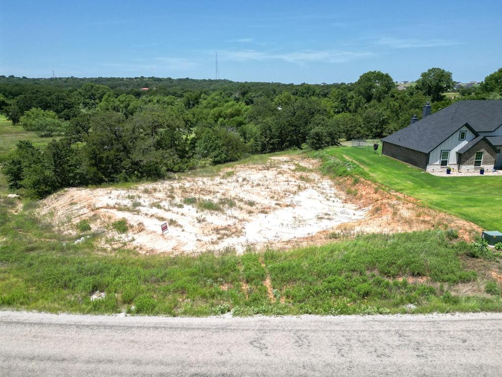 1077 Gonzollas Road Springtown, TX 76082 - Photo 3 of 16 a view of a yard with a tree