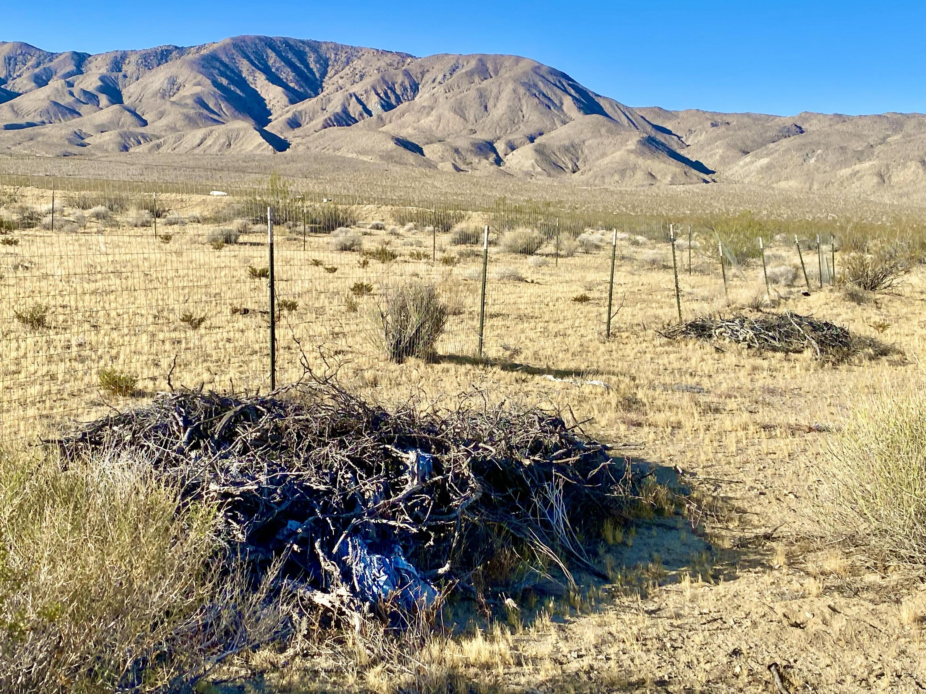 104 Joshua Tree Road Johnson Valley, CA 92285 - Photo 50 of 55 IMG_8416