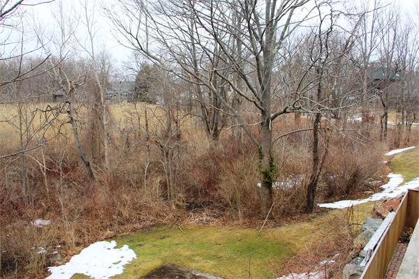 23 Marble Road Gloucester, MA 01930 - Photo 14 of 16 a view of a backyard