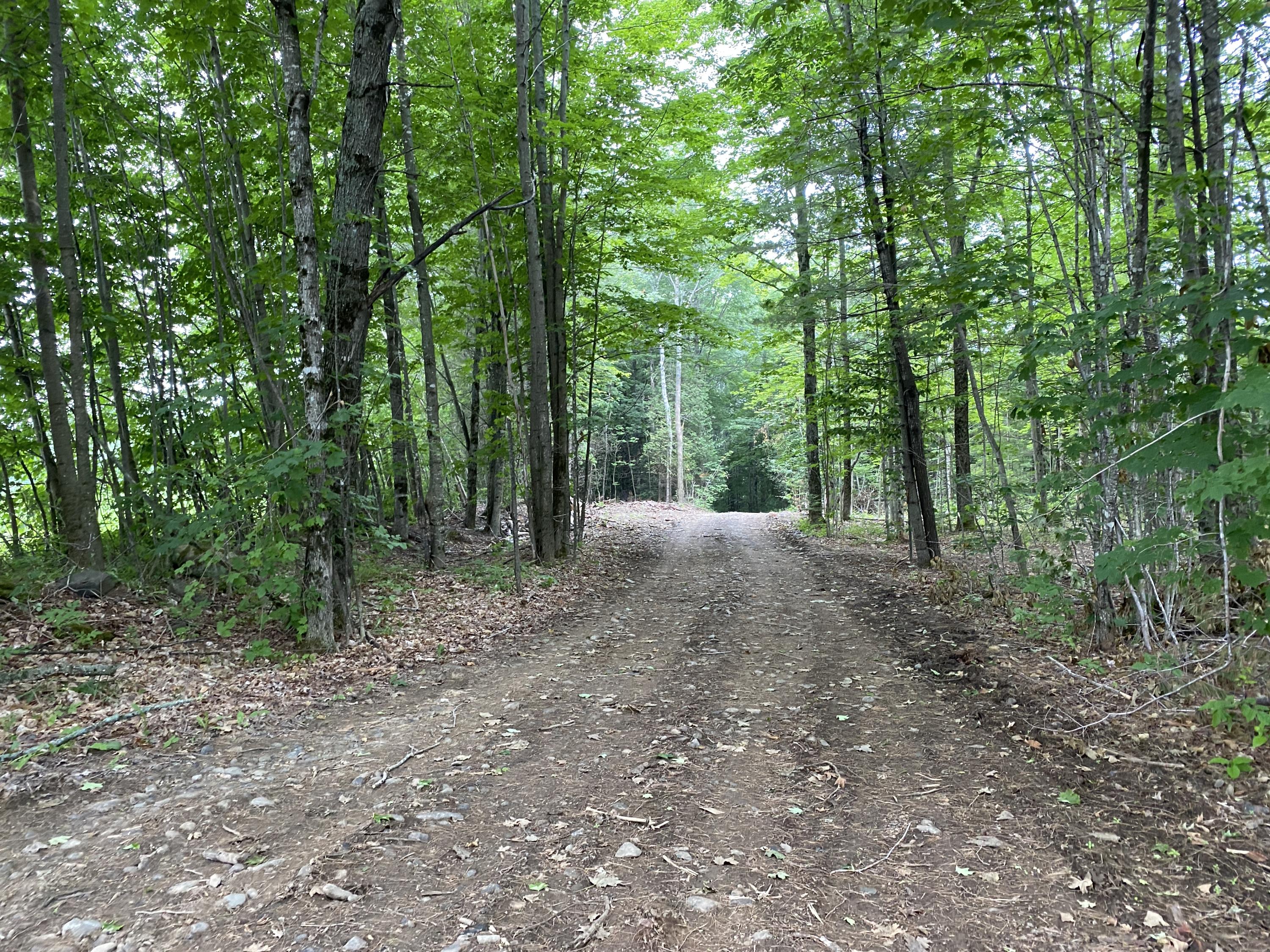 0 Hwy 15 Dover Road Charleston, ME 04422 - Photo 16 of 20 IMG_1388