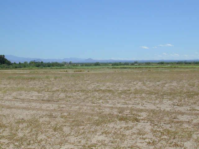 0 North Clemans Reduced Road, Unit RDCED Coolidge, AZ 85128 - Photo 1 of 4 Primary Photo