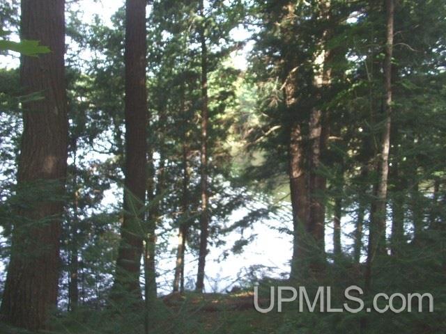C-wi Island Lake Road, Unit 23 Hurley, WI 54534 - Photo 2 of 7