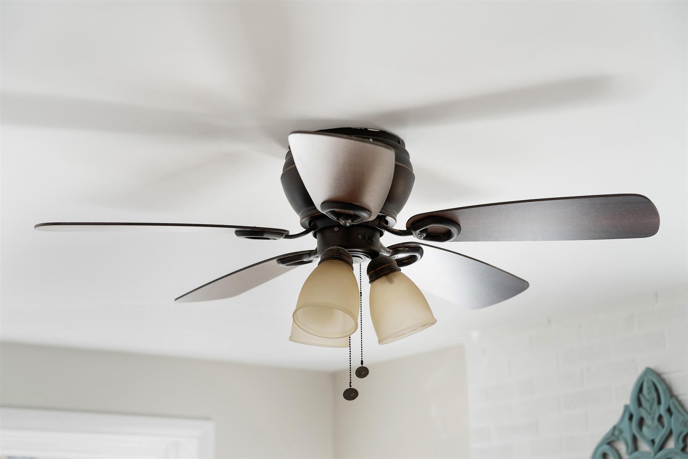 215 Shiloh Road Clarksville, TN 37042 - Photo 19 of 30 New Ceiling Fans Installed