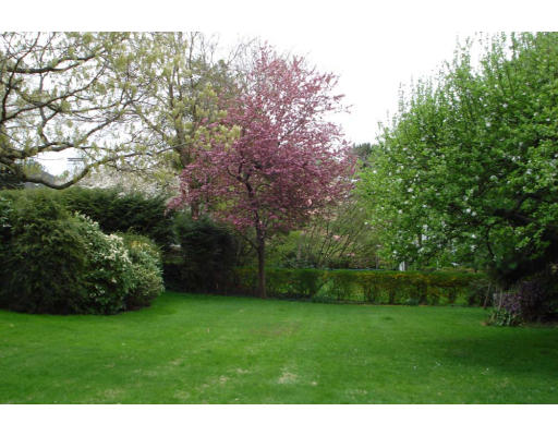 25 Mignon Road Newton, MA 02465 - Photo 21 of 22 a view of a yard with a trees