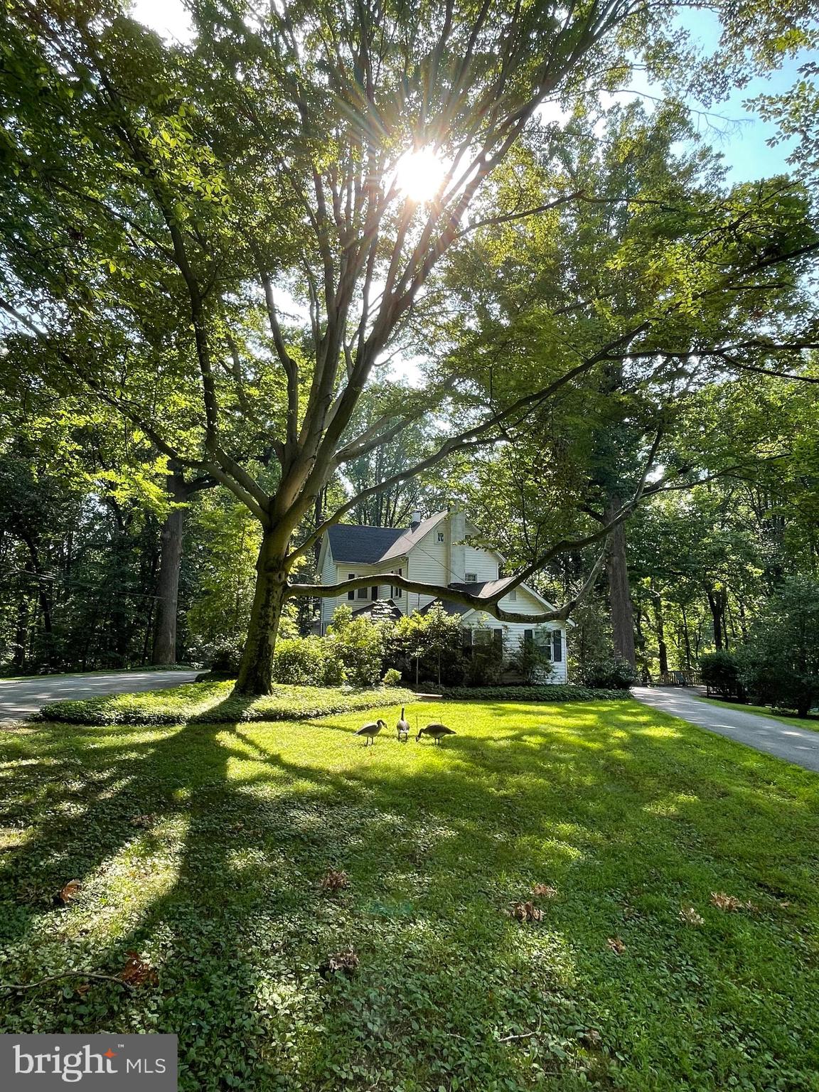 1528 Providence Road Towson, MD 21286 - Photo 1 of 55