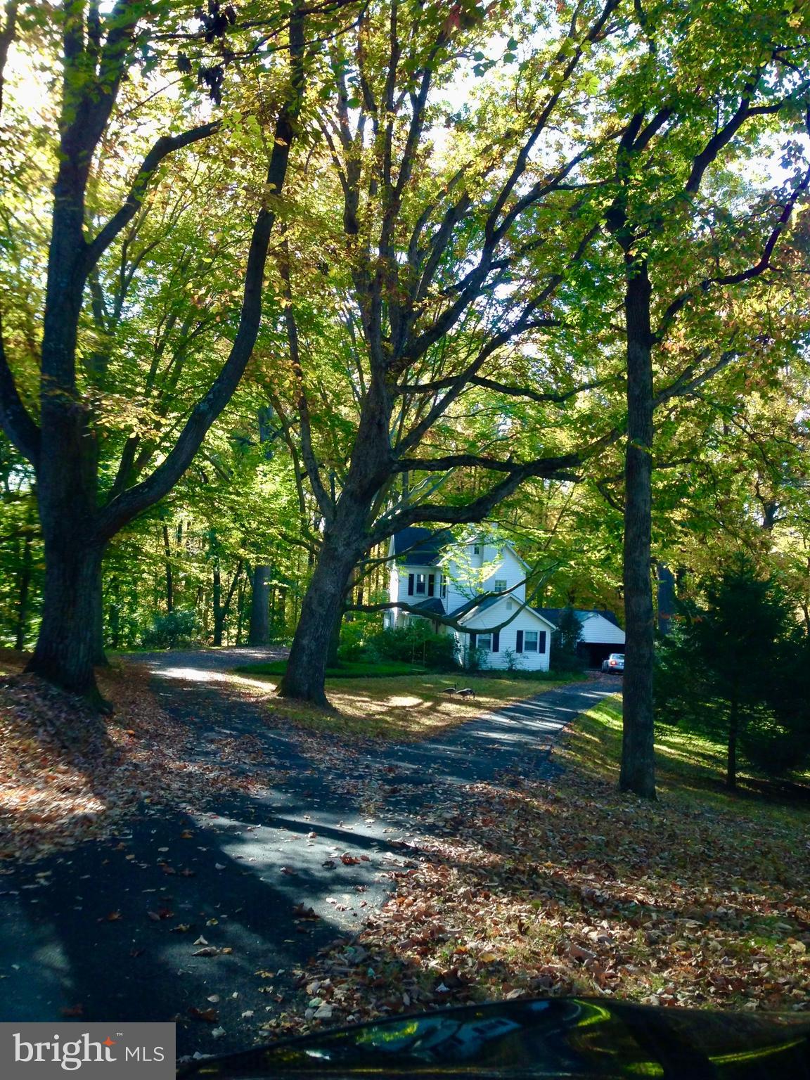 1528 Providence Road Towson, MD 21286 - Photo 46 of 55