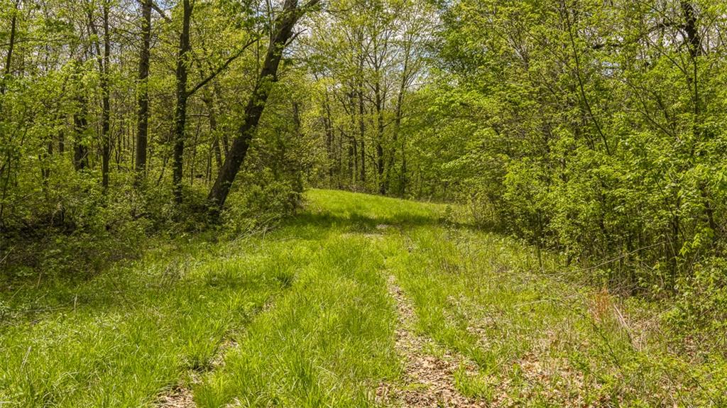 Knox Road Marceline, MO 64658 - Photo 30 of 30 Gallery Image 30