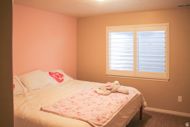 1706 West 1300th Street South Springville, UT 84663 - Photo 19 of 35