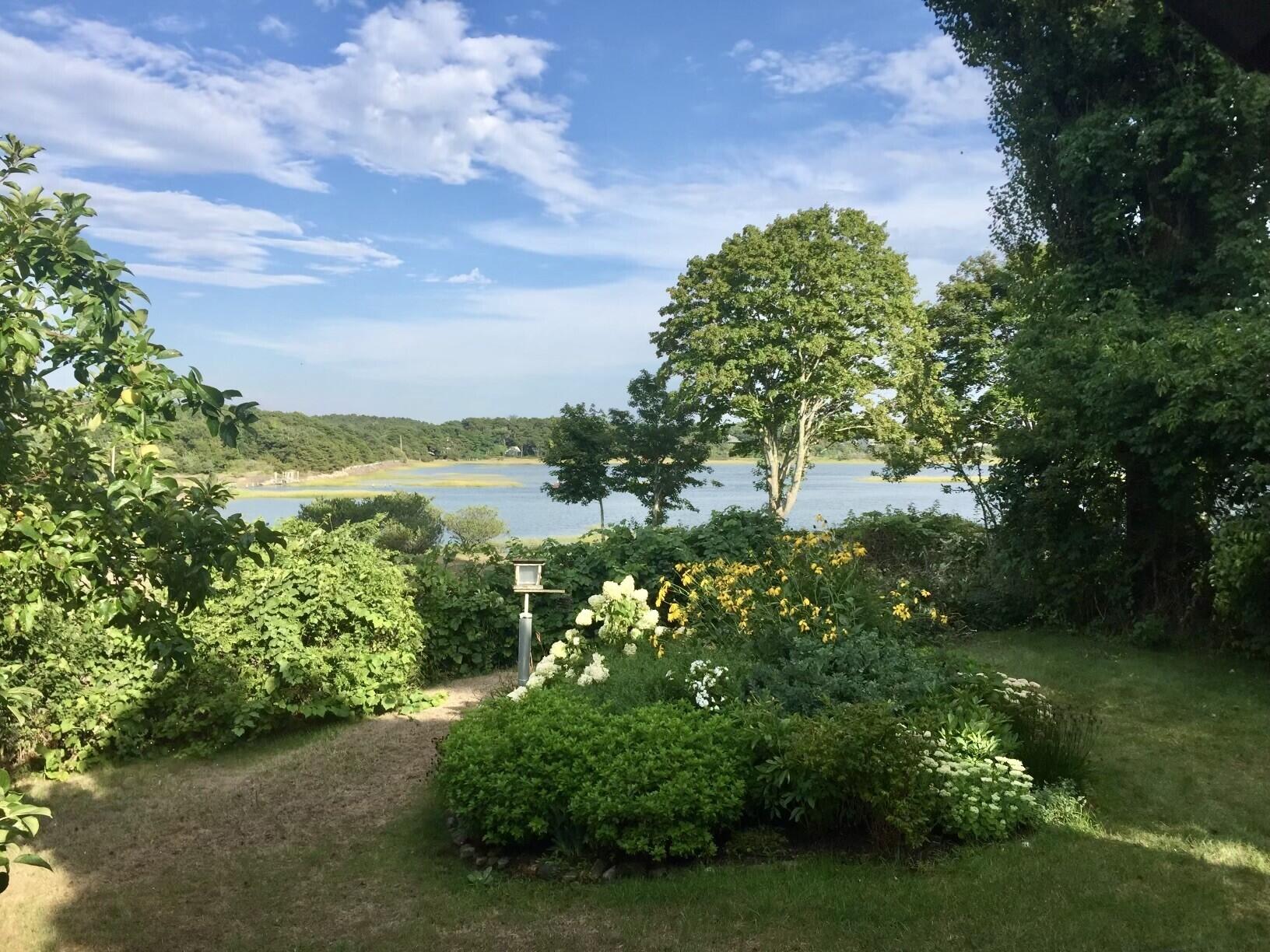 a view of a garden with an outdoor space